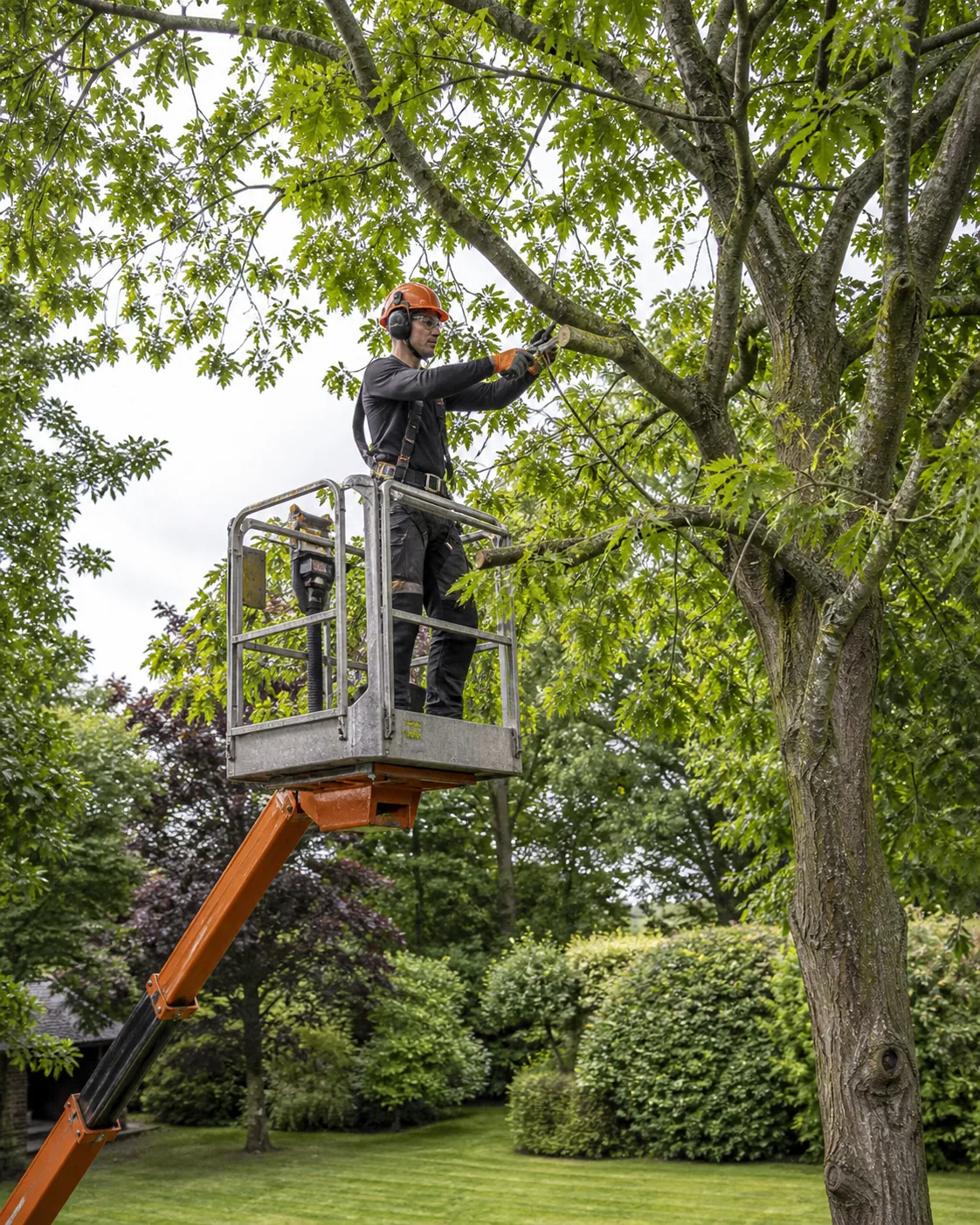 Tree-care worker pruning from a stable aerial lift